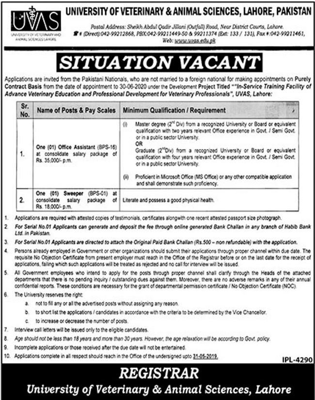 UVAS University Lahore Jobs 2019 for Office Assistant and Support Staff