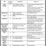National Organization Jobs 2019 for IT, Data Entry, Medical, Research Assistants, LHVs and Other Posts in KPK