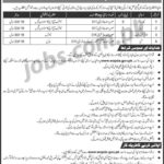 WAPDA Jobs 2019 for Various Support Staff / Middle / Matric Posts