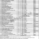 PITB Jobs 2019 for 500+ IT, HR, Admin, Data Entry Operators & Other Posts (May/June) (Multiple Districts)