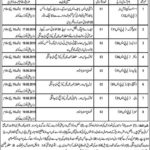 CM Balochistan Helicopter Establishment Jobs 2019 for 17+ Junior Clerk, Asst Computer Operator & Support Staff