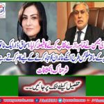 Marvi Memon decided to expose all the secrets