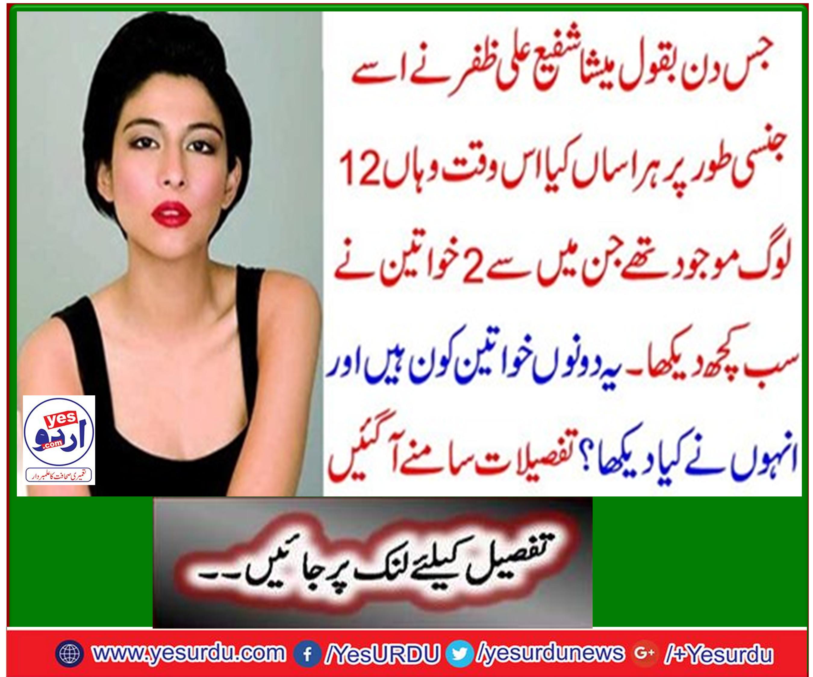 From Ali Zafar to Meesha Shafi!