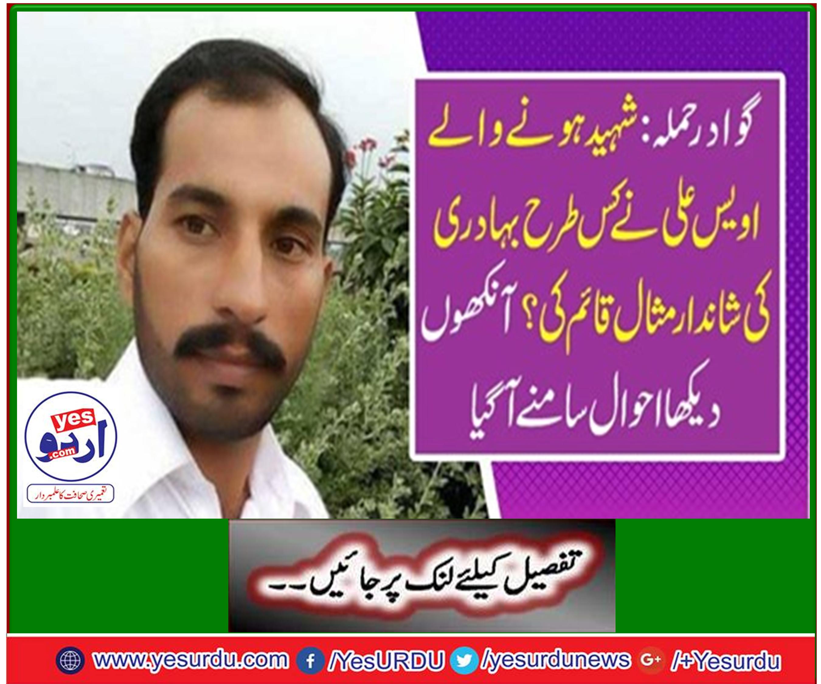 An exquisite example of Shaheed Owais Ali