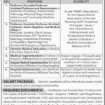TUF University Lahore Jobs 2019 for Admin, Medical & Teaching Faculty