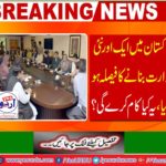 Breaking News: Another new decision was made to make a new ministry in Pakistan