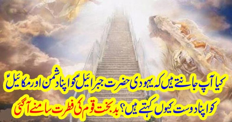 The nature of the Badakht tribe came out