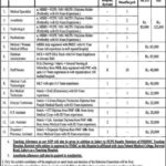 PSSHMC Punjab Jobs 2019 for 40+ IT, Pharma, Medical, Staff Nurses & Other Posts