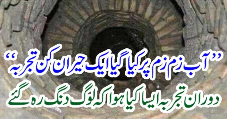 An astonishing experience on the climate of Earth