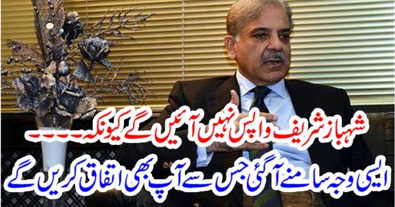Shahbaz Sharif will not come back because ..