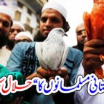 "Halal secularism" of Indian Muslims