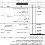 Daanish Schools (Boys / Girls) Jobs 2019 for Teaching & Non-Teaching Staff (Disable Quota)