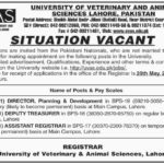 UVAS University Jobs 2019 for Assistant Registrar, Deputy Treasurer and Director Posts
