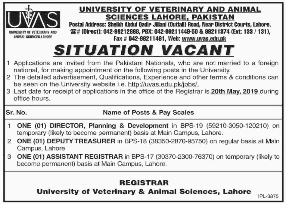 UVAS University Jobs 2019 for Assistant Registrar, Deputy Treasurer and Director Posts