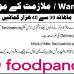 Foodpanda Jobs 2019 for Various Full & Part Time Staff