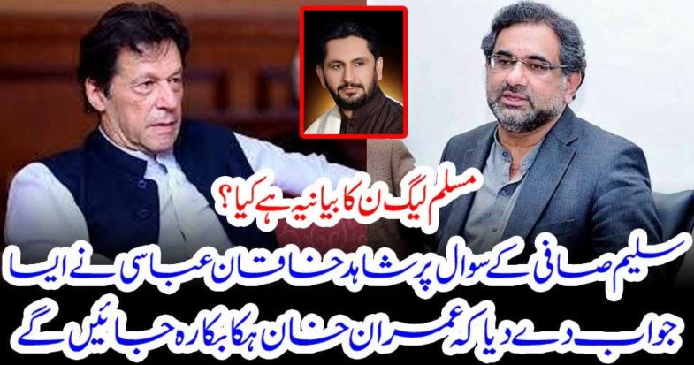 On the question of Saleem Safi, Shahid Khaqan Abbasi gave an answer that Imran Khan will be hungry