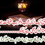 In a few minutes, the big crocodile writing of the religion of religion is Islam
