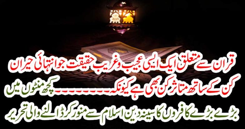 In a few minutes, the big crocodile writing of the religion of religion is Islam