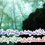 Extremely important historical Islamic information
