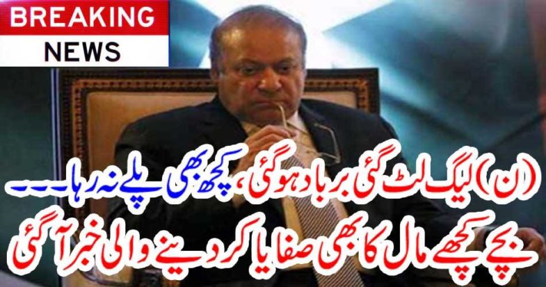 The news was about to cleanse the baby's turtles