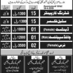34+ Latest Nurses, Medical & Support Jobs at Saudi Arab Organization