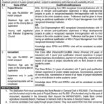 The University Of Agriculture Peshawar Jobs 2019 For Project Director & Accountant