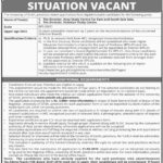 University of Sindh Jobs 2019 for Administrative / Management Posts