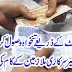 The work of government and non-government employees who received salaries through their account came to know