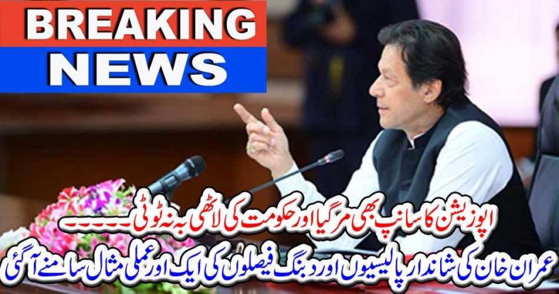 Breaking News: The snake of opposition was also killed and the government did not break the sticks.