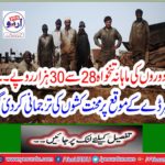 The monthly salary of workers is Rs 28 to 30 thousand.