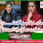 The slip savior could not read the oath and could not read the written slip, Maryam Nawaz Tweet