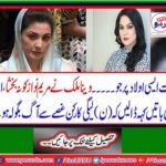 Veena Malik unique style reaction of Maryam Nawaz's tweet