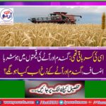 Sindh threatens new crisis of wheat and flour prices`