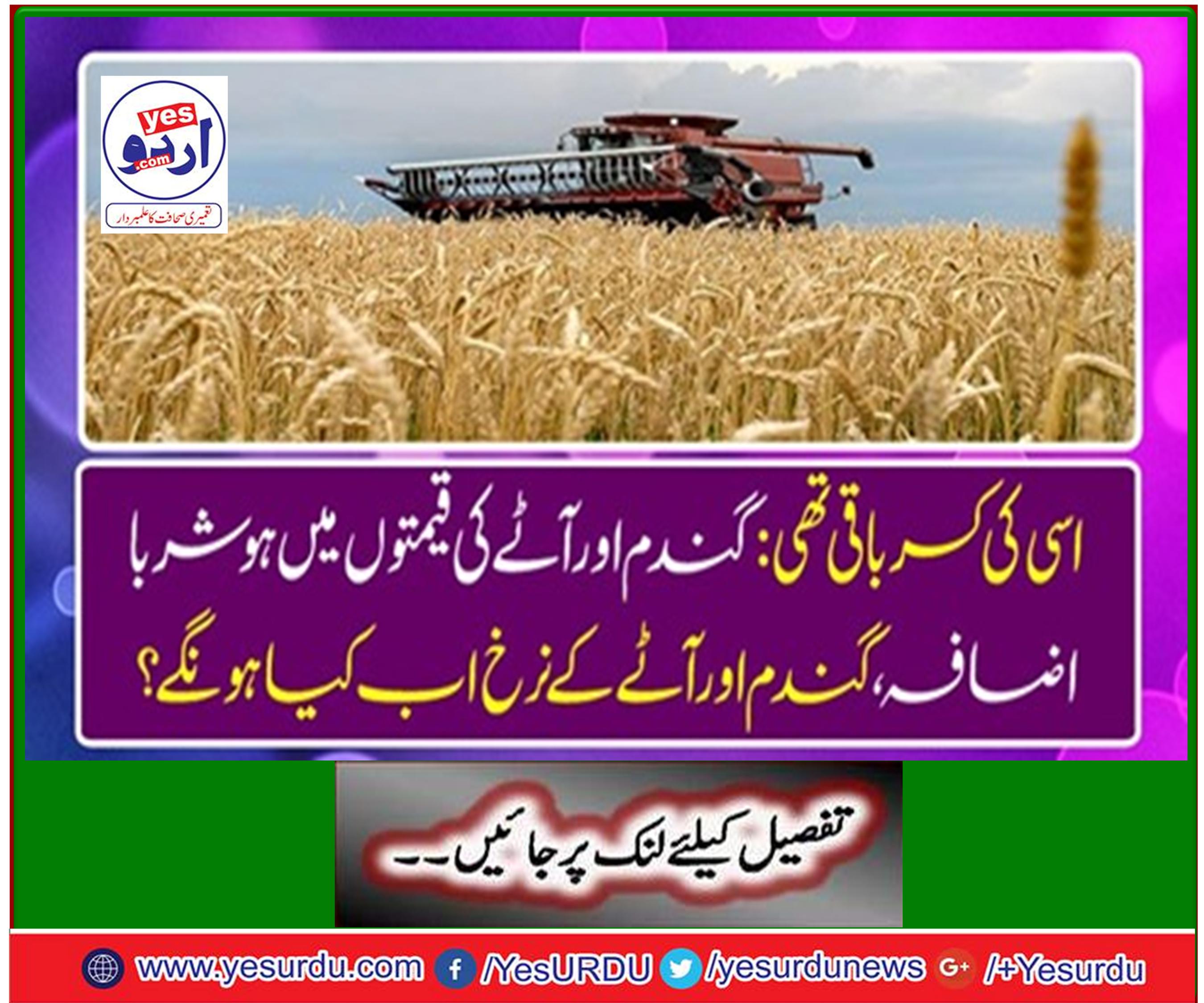 Sindh threatens new crisis of wheat and flour prices`