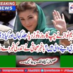 Maryam Nawaz, limited political activities start