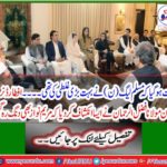 The Muslim League N made a big mistake