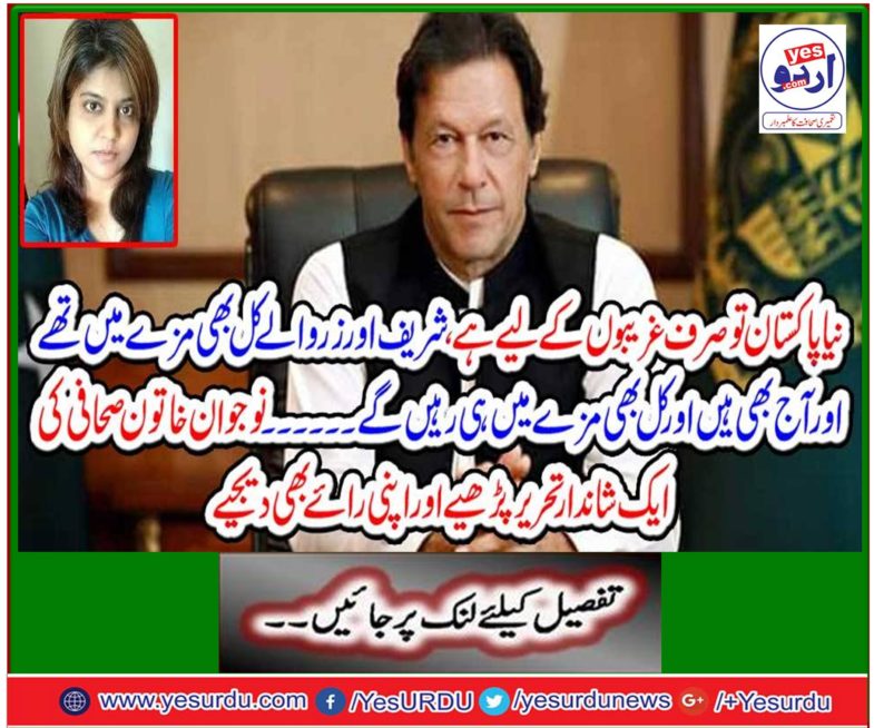 That's shall be still in fun