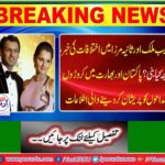 Differences in Shoaib Malik and Sania Mirza