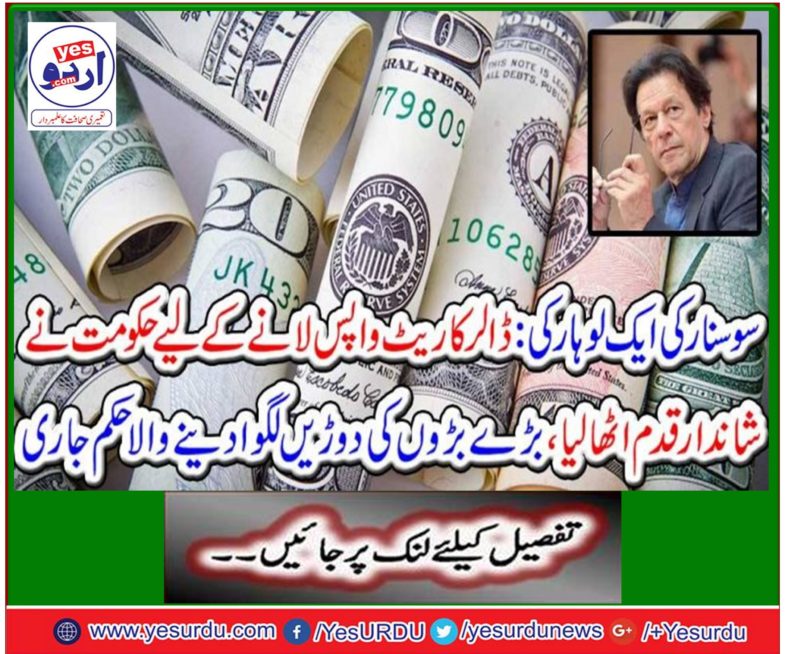 The FIA ​​decided to action against those who store dollar and selling in Black