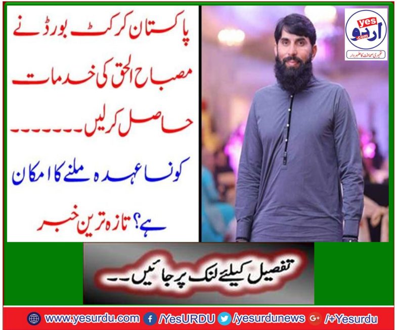 Pakistan cricket board get Misbah-ul-Haq services