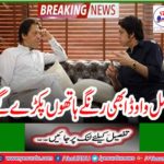 faisal vawda was caught by red hand