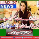 When Maryam Nawaz starting practical politics?