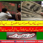 The dollar rate starts growing again