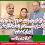 Politics of Mian Shahbaz Sharif