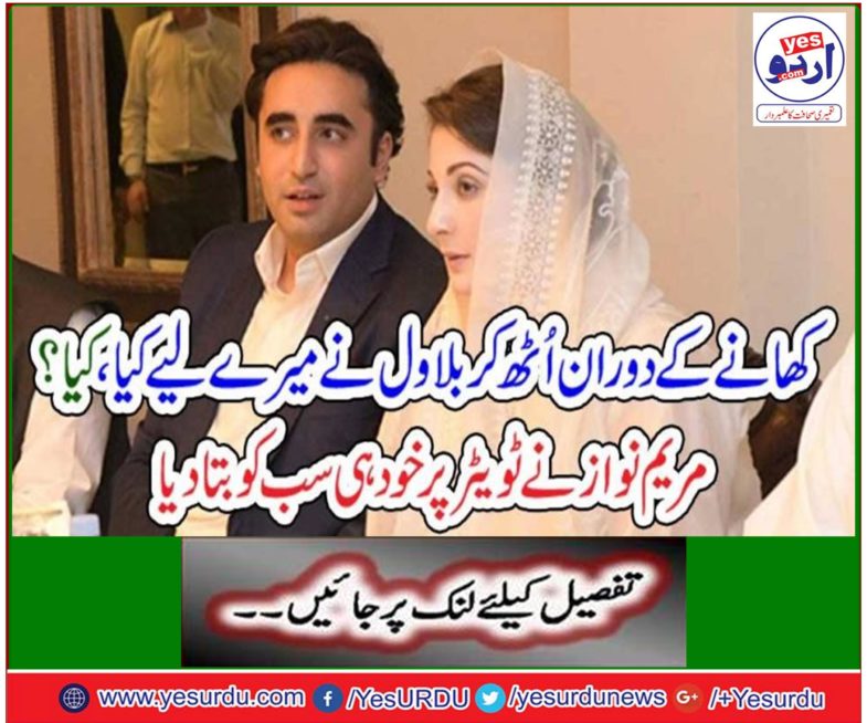 Maryam Nawaz participation everyone's attention in Aftar Dinner's