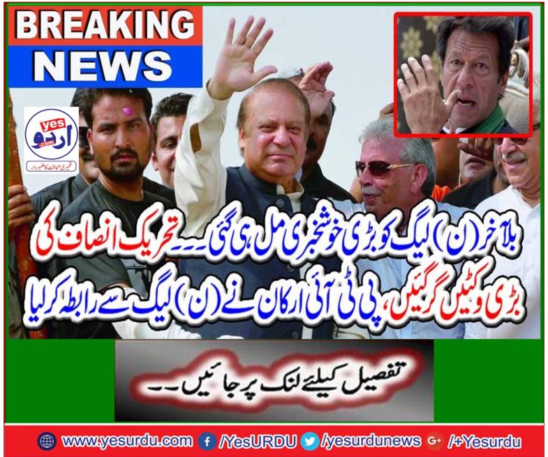 Finally, the N leage got a great news.