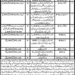 Assistant Commissioner Revenue Naseerabad Jobs 2019 for 87+ Stenographers, Jr Clerks, Patwari & Other Staff