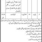 Cooperative Department Sindh Jobs 2019 for Sub-Inspector, Junior Clerk & Chowkidar