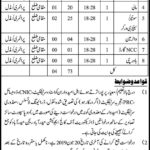 College Education Department Sindh Jobs 2019 For 73+ Support Staff Posts