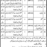 School Education & Literacy Department Sindh Jobs 2019 For 11+ Jr Clerks & Support Staff Posts